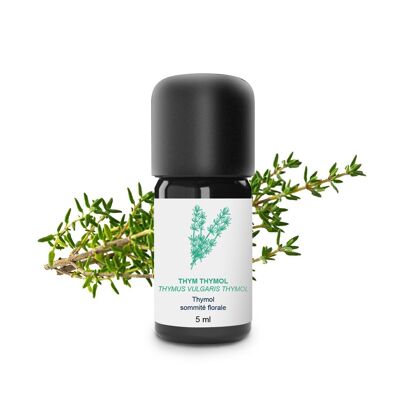 Thyme thymol Essential Oil (5 ml) | Organic, Artisanal, Made In France