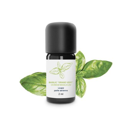 Aceite esencial de albahaca verde grande (5 ml) | Orgánico, Artesanal, Hecho En Francia