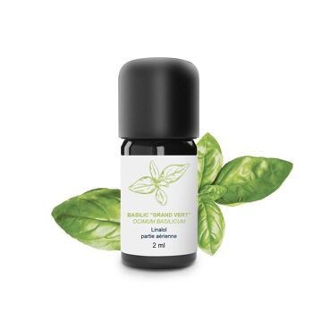 Huile Essentielle Basilic grand vert (5 ml) | Bio, Artisanal, Made In France 1