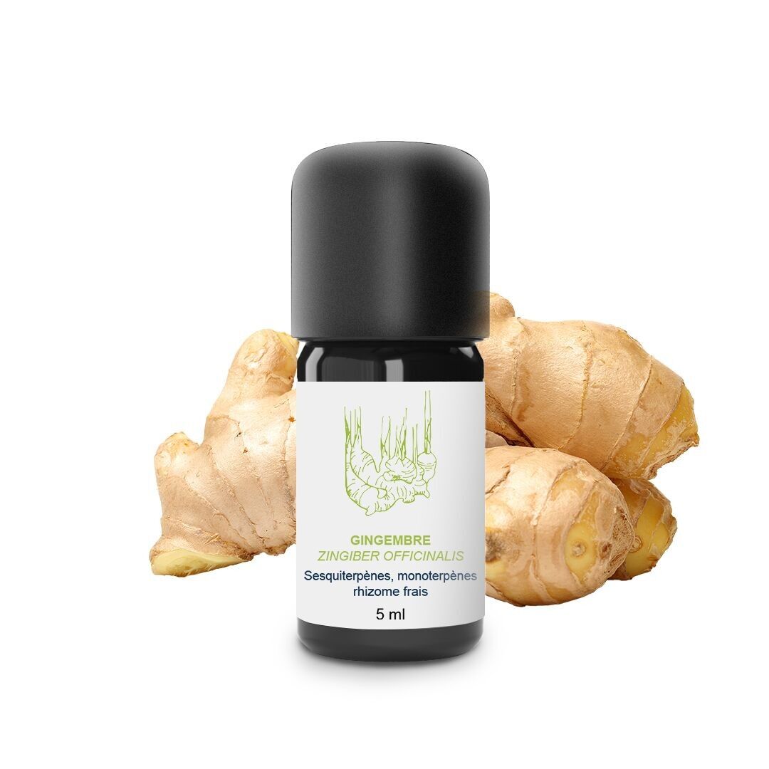 Fresh Ginger Essential Oil (5 ml) | Organic, Artisanal, Made In France