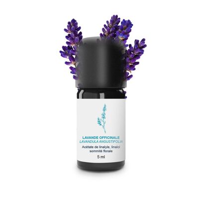 Olio essenziale di lavanda (5 ml) | Biologico, Artigianale, Made In France