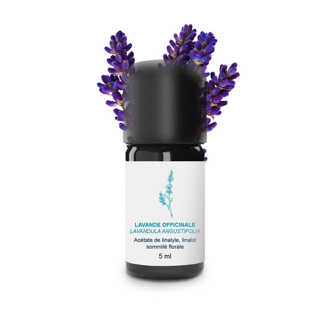 Huile Essentielle de Lavande officinale 100% Bio et Artisanal