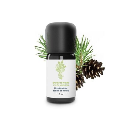 Black Spruce Essential Oil (5 ml) | Organic, Artisanal, Made In France