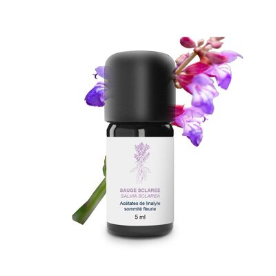 Clary Sage Essential Oil (5 ml) | Organic, Artisanal, Made In France