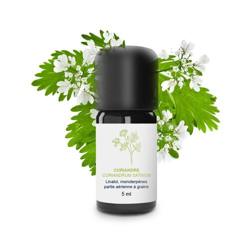 Huile Essentielle Coriandre (Graines) (5 ml) | Bio, Artisanal, Made In France