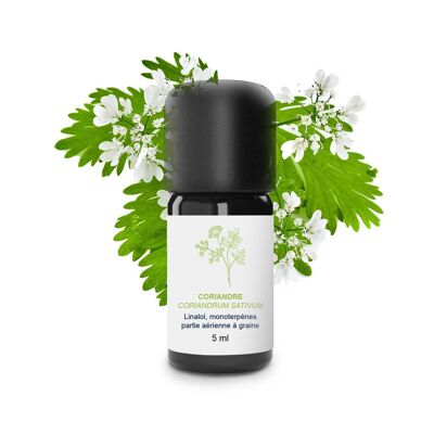 Coriander Essential Oil (Seeds) (5 ml) | Organic, Artisanal, Made In France
