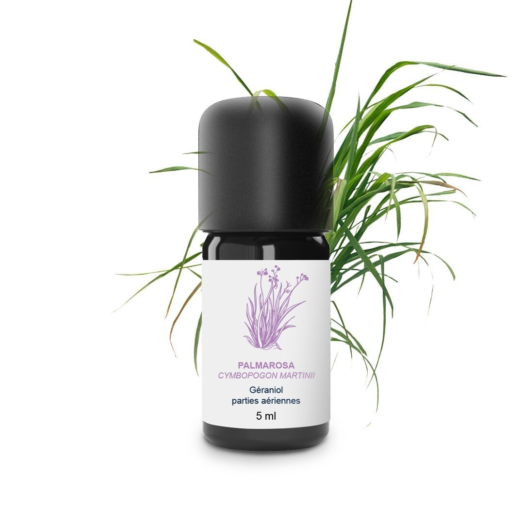 Ätherisches Palmarosaöl (5 ml) | Biologisch, handwerklich, hergestellt in Frankreich