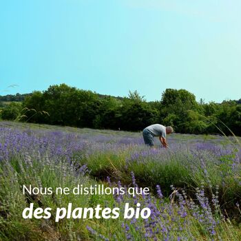 Hydrolat Bleuet des champs (250 ml) | Bio, Artisanal, Made In France 4