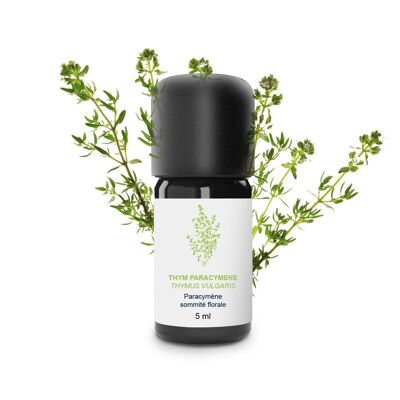 Huile Essentielle Thym paracymène (5 ml) | Bio, Artisanal, Made In France