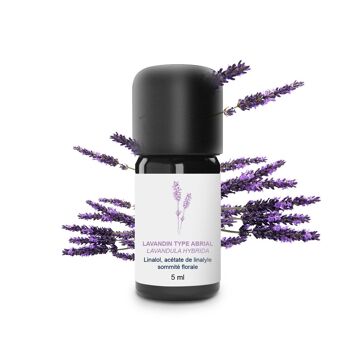 Huile Essentielle Lavandin abrial (5 ml) | Bio, Artisanal, Made In France 1