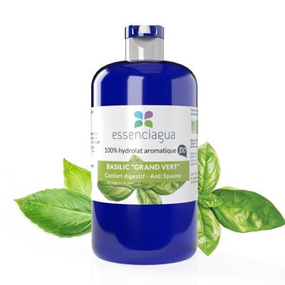 Großes grünes Basilikumhydrolat (250 ml) | Biologisch, handwerklich, hergestellt in Frankreich