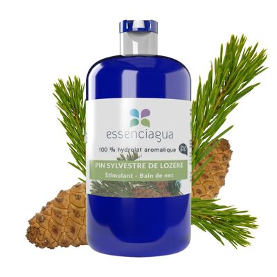 Hidrolato de pino silvestre (250 ml) | Orgánico, Artesanal, Hecho En Francia