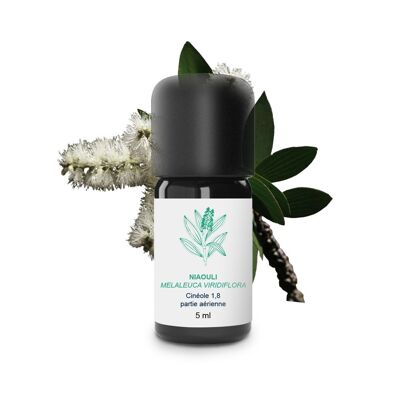 Aceite esencial de niaouli (5 ml) | Orgánico, Artesanal, Hecho En Francia