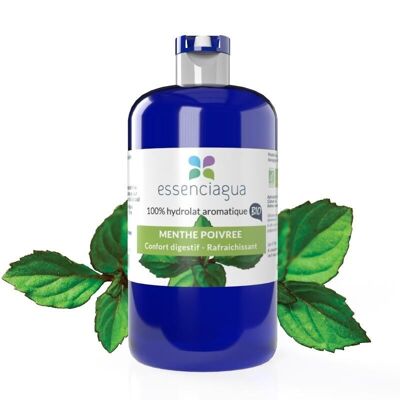 Peppermint Hydrosol (250 ml) | Organic, Artisanal, Made In France