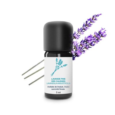 Fine Causses Lavender Essential Oil (5 ml) | Organic, Artisanal, Made In France