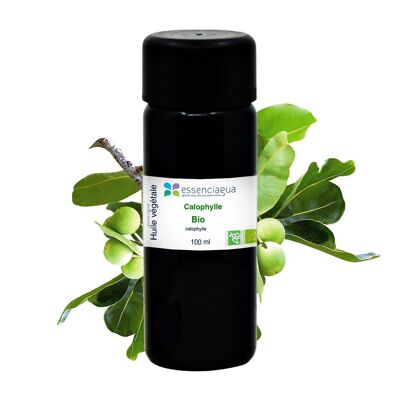 Aceite vegetal calófilo (100 ml) | Orgánico, Artesanal, Hecho En Francia