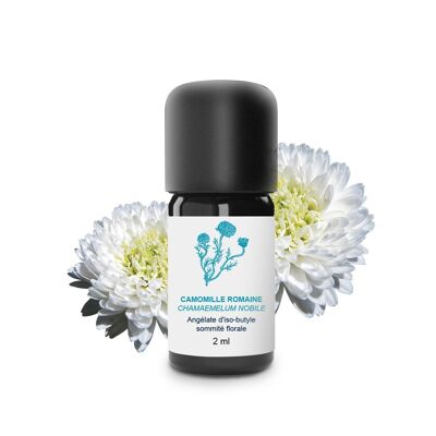 Huile Essentielle Camomille romaine (5 ml) | Bio, Artisanal, Made In France