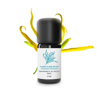 Aceite esencial extra de ylang ylang (2 ml) | Orgánico, Artesanal, Hecho En Francia