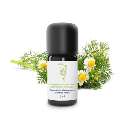 Matricaria Chamomile Essential Oil (2 ml) | Organic, Artisanal, Made In France