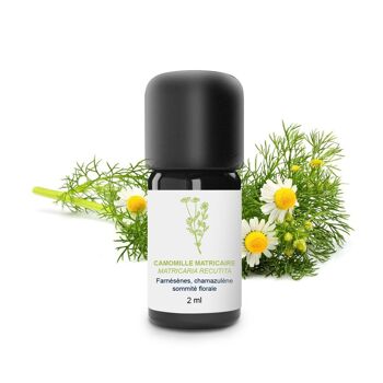 Huile Essentielle Camomille Matricaire (2 ml) | Bio, Artisanal, Made In France 1