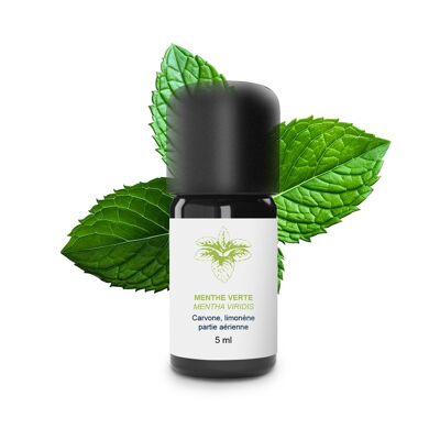 Aceite esencial de menta verde (5 ml) | Orgánico, Artesanal, Hecho En Francia