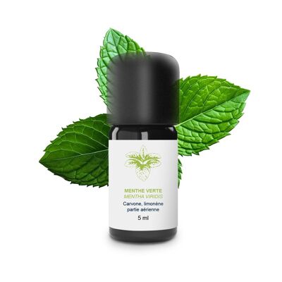 Huile Essentielle Menthe verte (5 ml) | Bio, Artisanal, Made In France