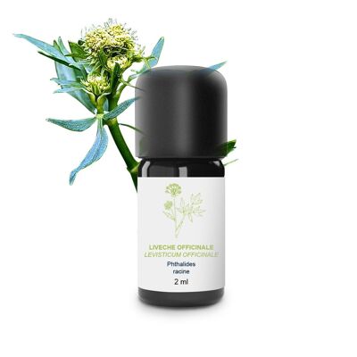 Lovage (Root) Essential Oil (2 ml) | Organic, Artisanal, Made In France