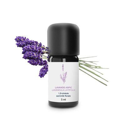 Ätherisches Aspik-Lavendelöl (5 ml) | Biologisch, handwerklich, hergestellt in Frankreich