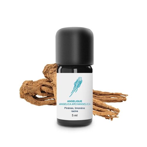 Huile Essentielle Angélique (Racine) (5 ml) | Bio, Artisanal, Made In France