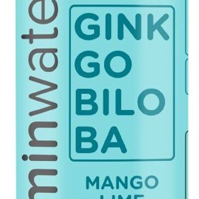Vitaminwasser Brainboost Ginkgobiloba Mango Limette 600 ml Null Zucker