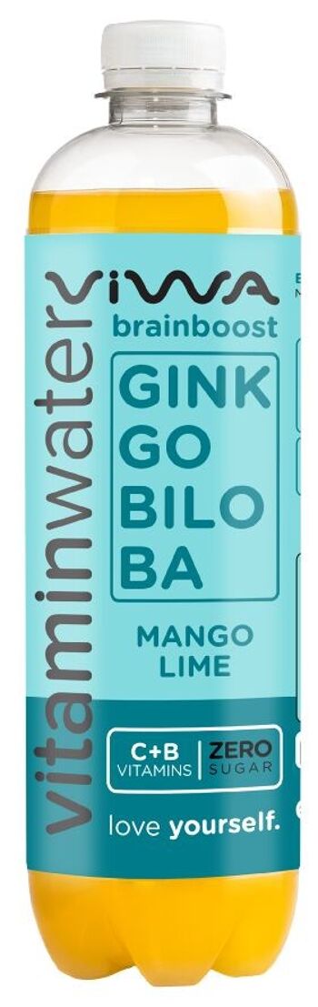 Eau Vitaminée Vitamin Water Brainboost Ginkgobiloba Mango Lime 600ml Zero Sucre 2