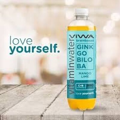Vitaminwasser Vitaminwasser Brainboost Ginkgobiloba Mango Limette 600 ml Null Zucker