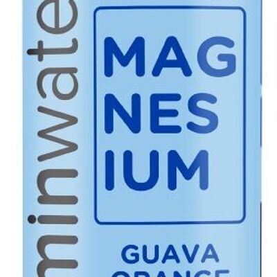 Agua Vitaminada Magnemax 600ml Naranja Guayaba