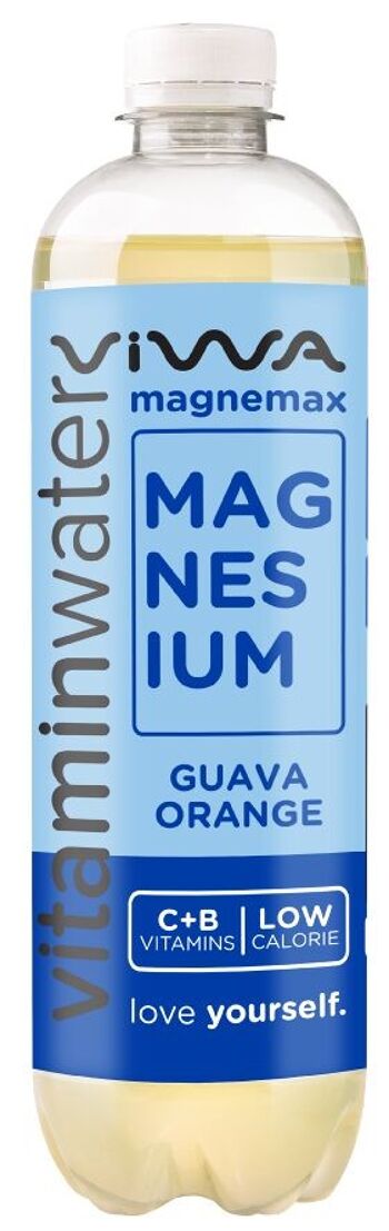 Vitamin Water Magnemax 600ml Goyave Orange 1