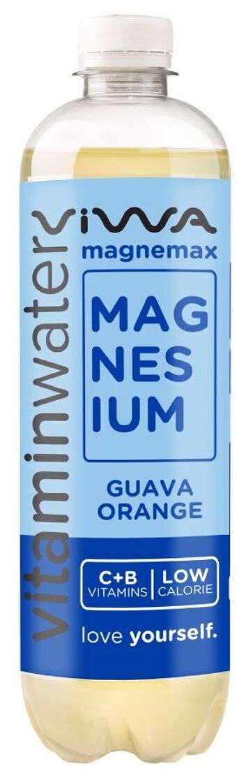 Eau Vitaminée Vitamin Water Magnemax 600ml Goyave Orange 2