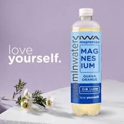 Vitamin Water Magnemax Vitamin Water 600 ml Guava Orange