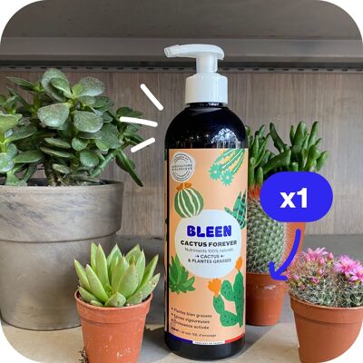 Indoor plant fertilizer (ideal for cacti & succulents)