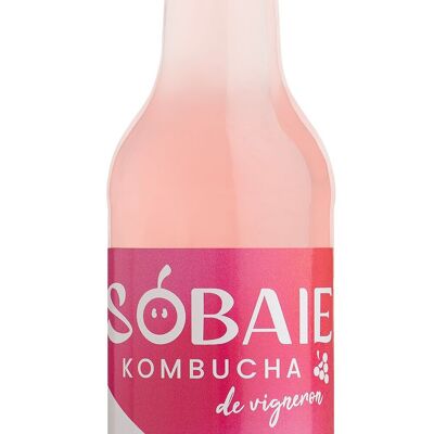 Kombucha Berry Grape Rosé dell'enologo Sobaie