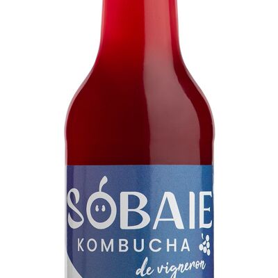 Sobaie Kombucha de vigneron Baie de raisin Rouge