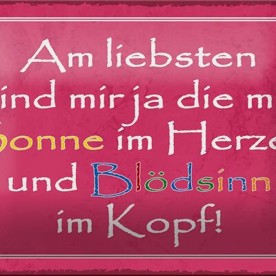 Blechschild Spruch 18x12cm am liebsten sind die mit Sonne Dekoration