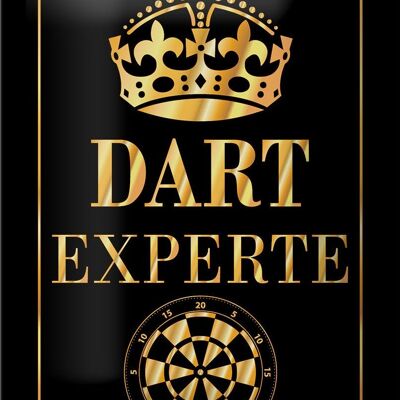 Targa in metallo con scritta "Dart Expert Crown" 12x18 cm