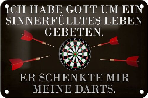 Blechschild Spruch 18x12cm Gott schenkte mir meine Darts Dekoration