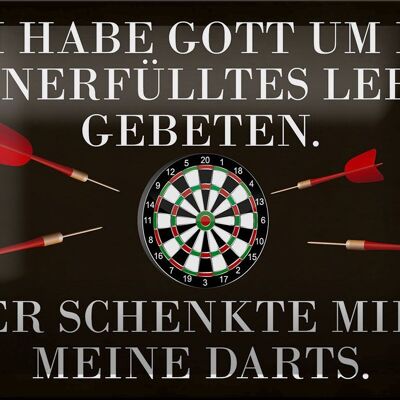 Blechschild Spruch 18x12cm Gott schenkte mir meine Darts Dekoration