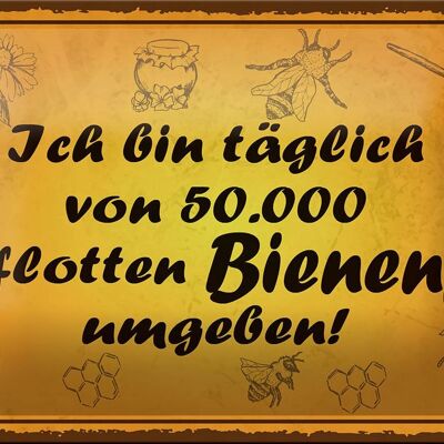 Blechschild Spruch 18x12cm von 50000 flotten Bienen umgeben Dekoration