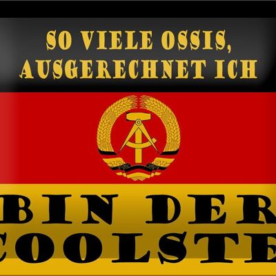 Blechschild Spruch 18x12cm so viele Ossis bin der coolste Dekoration