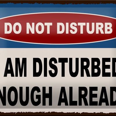 Blechschild Spruch 18x12cm do not disturb a am disturbed Dekoration