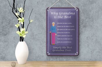 Panneau en étain 12x18cm indiquant pourquoi grand-mère est la meilleure décoration de grand-mère 4