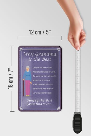 Panneau en étain 12x18cm indiquant pourquoi grand-mère est la meilleure décoration de grand-mère 5