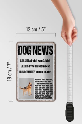 Plaque en étain disant 12x18cm Dog news Leesie se marie pour la 3ème décoration 5