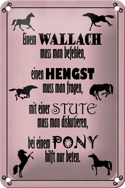 Blechschild Spruch 12x18cm Pferde Wallah Hengst Pony Stute Dekoration